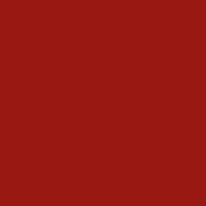 Vermelho Segurança